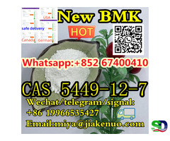 CAS 5449-12-7 Новая глицидовая кислота BMK (натриевая соль)