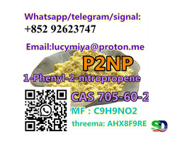 1-Phenyl-2-Nitropropene (P2NP) CAS 705-60-2