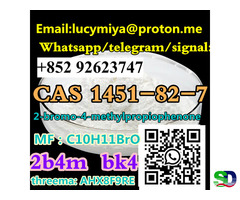 BK4 powder 2-bromo-4-methylpropiophenone 2b4m CAS 1451-82-7