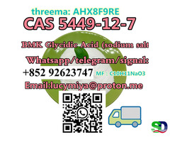 CAS 5449-12-7 New BMK Glycidic Acid (sodium salt)