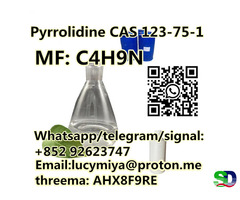 Pyrrolidine CAS 123-75-1