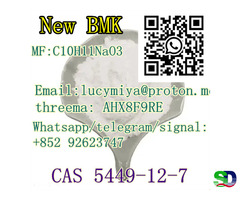 CAS 5449-12-7 New BMK Glycidic Acid (sodium salt)