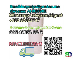 2-bromo-1-phenyl-pentan-1-one CAS 49851-31-2