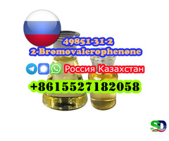 Прямые поставки с завода 2-бромвалерофенон CAS 49851-31-2 - 2