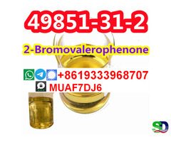 CAS 49851-31-2 Oil Stock Bromovalerophenone Supplier