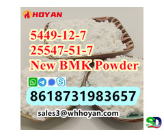 Bmk glycidic acid powder,cas 25547-51-7,cas 5449-12-7 powder supplier