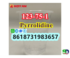 CAS 123-75-1 Pyrrolidine supplier 100% safe delivery to Russia Kazakhstan