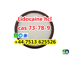 wholesale price cas 73-78-9 Lidocaine Hydrochloride powder