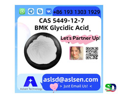 BMK Glycidic Acid CAS 5449-12-7