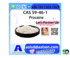 The Preferred Choice for Precise Anesthetic Applications Name: Procaine CAS 59-46-1