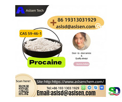 Experience the Difference with 99% Pure Procaine for Anesthesia Name: Procaine CAS 59-46-1