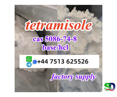 cas 5086-74-8 tetramisole hcl base powder door to door ship worldwide