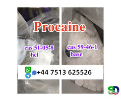 cas 59-46-1 Procaine base powder Procaine Hcl safe ship to Holland Poland