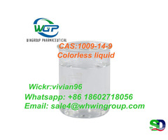 Organic Intermediate Purity 99% Valerophenone CAS:1009-14-9 With Fast Delivery - Фотография 1
