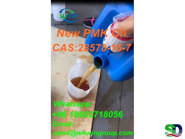 Reseach Chemicals High Purity New PMK Oil CAS 28578-16-7 China Top Factory - 1