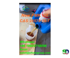 Reseach Chemicals High Purity New PMK Oil CAS 28578-16-7 China Top Factory