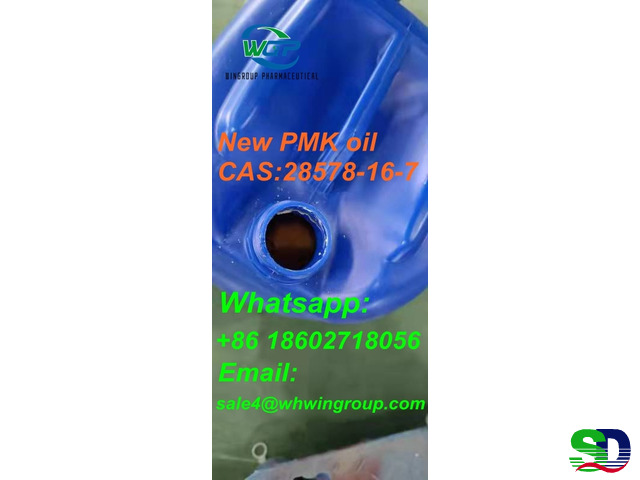 Reseach Chemicals High Purity New PMK Oil CAS 28578-16-7 China Top Factory - 2