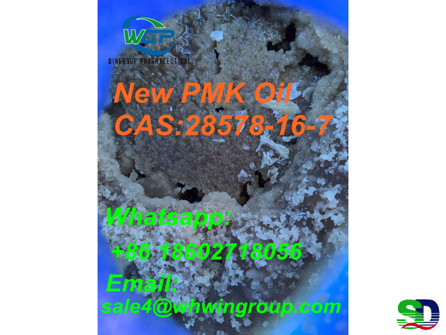 Reseach Chemicals High Purity New PMK Oil CAS 28578-16-7 China Top Factory - 3