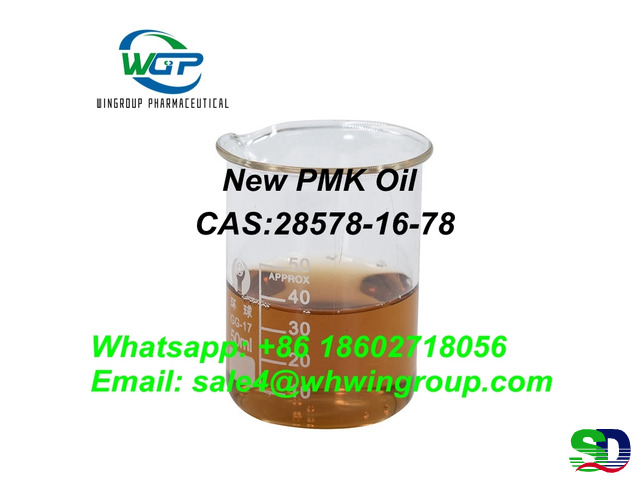 Reseach Chemicals High Purity New PMK Oil CAS 28578-16-7 China Top Factory - 6