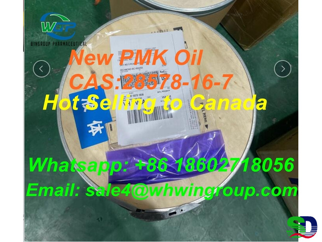 Reseach Chemicals High Purity New PMK Oil CAS 28578-16-7 China Top Factory - 8