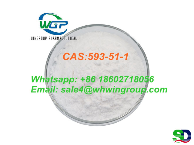 Factory Supply 99% Purity Methylamine Hydrochloride CAS 593-51-1 With Safe Delivery - 4