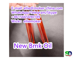 Cas No 20320-59-6 New Bmk Oil 99.9% Liquid 20320-59-6 Moker - Фотография 6