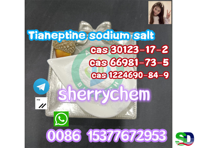 High Purity Tianeptine Sodium Salt Powder CAS 30123-17-2 with Safe Delivery - 1