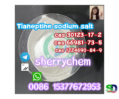 High Quality Raw Powder CAS 30123-17-2 Tianeptine Sodium Salt