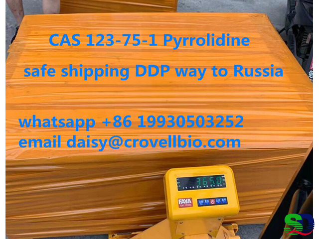 CAS 123-75-1 Pyrrolidine supplier in China ( whatsapp +86 19930503252 - 2