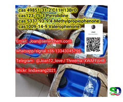 Hot cas123-75-1 Pyrrolidine (whatsap+86-13343045796) - 2