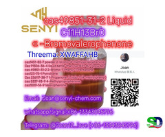 Hot cas123-75-1 Pyrrolidine (whatsap+86-13343045796) - 3