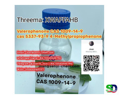 Hot cas1009-14-9 Valerophenone (whatsap+86-13343045796)