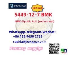 Fast delivery CAS 5449-12-7 BMK Glycidic Acid (sodium salt) with high quality - 2