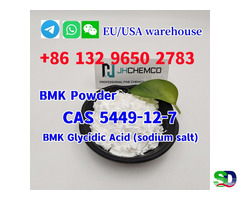 Fast delivery CAS 5449-12-7 BMK Glycidic Acid (sodium salt) with high quality - 5