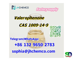 Supply CAS 1009-14-9 Valerophenone to Russia with fast shipping to Russia - 2