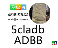 137350-66-4  5cladb/5cl-adb-a/5cladba	safe direct delivery	powder in stock for sale