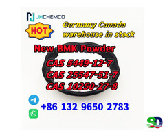 CAS 5449-12-7/CAS 25547-51-7/CAS 10250-27-8 NEW BMK Powder high quality in stock