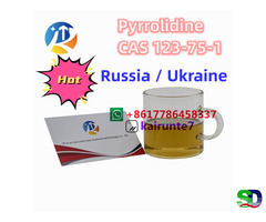 Hot sale Pyrrolidine cas123-75-1 For Russia factory supply low price