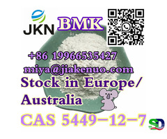 CAS 5449-12-7 Новая глицидовая кислота BMK (натриевая соль)